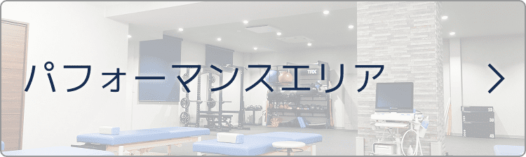 パフォーマンスエリア